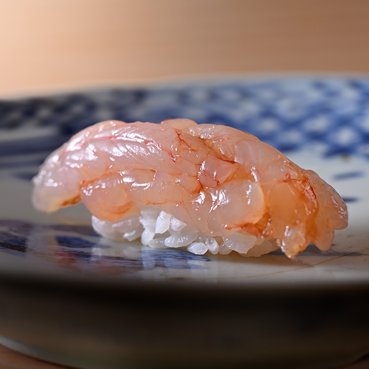 amaebi
